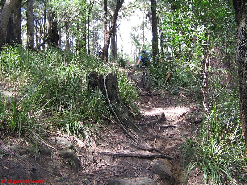 20080210-Bulli 054 